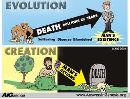 Evolution & Death